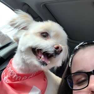 Meet your Posher, Cassidy